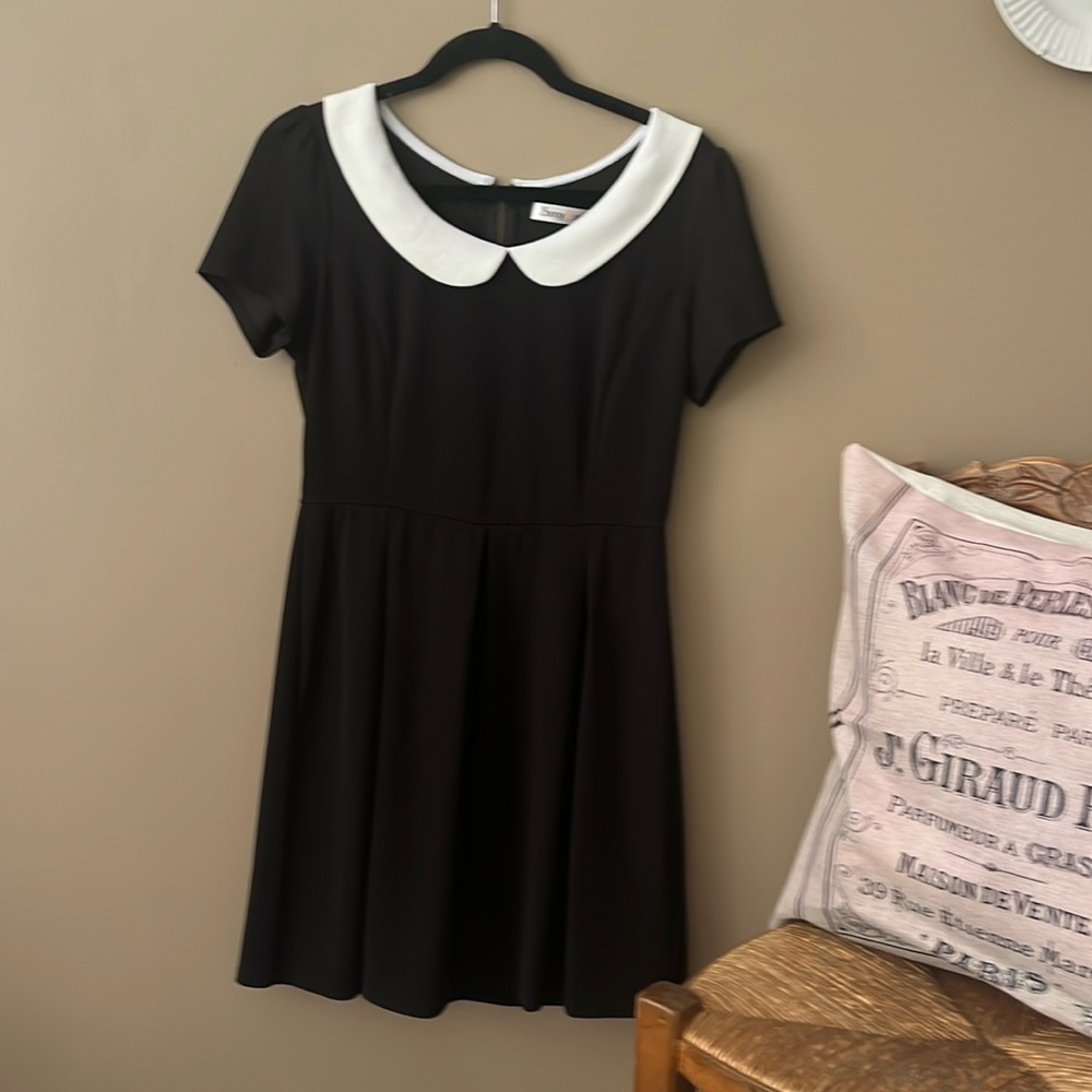 Sunny Girl Black Dress with White Peter Pants Collar. Puffed Sleeves.